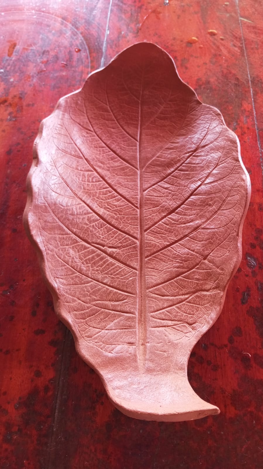 WhatsApp-Image-2024-11-07-at-09.25.36-2