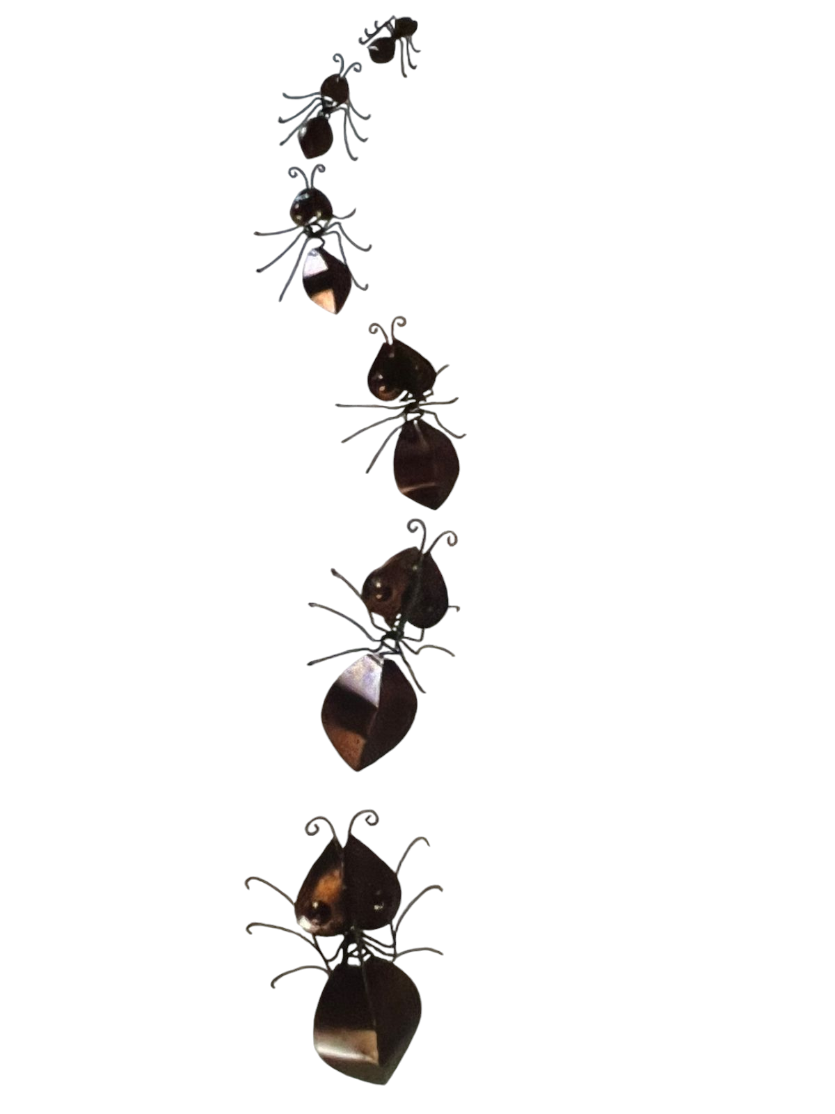 clebinho-3