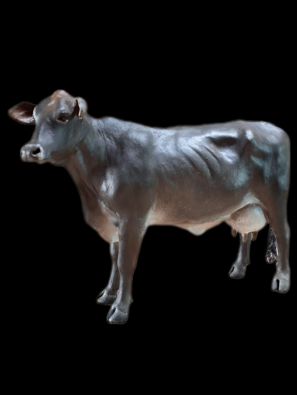 CARMELITO-SANTOS-3