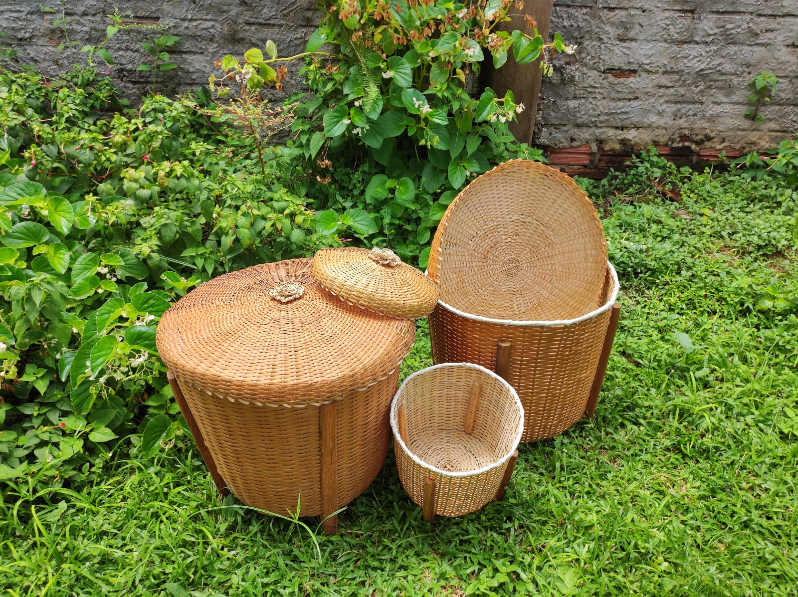 Francisca-Erlandia-1