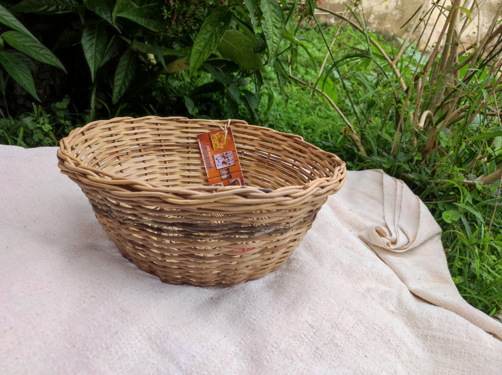 Francisca-Erlandia-2