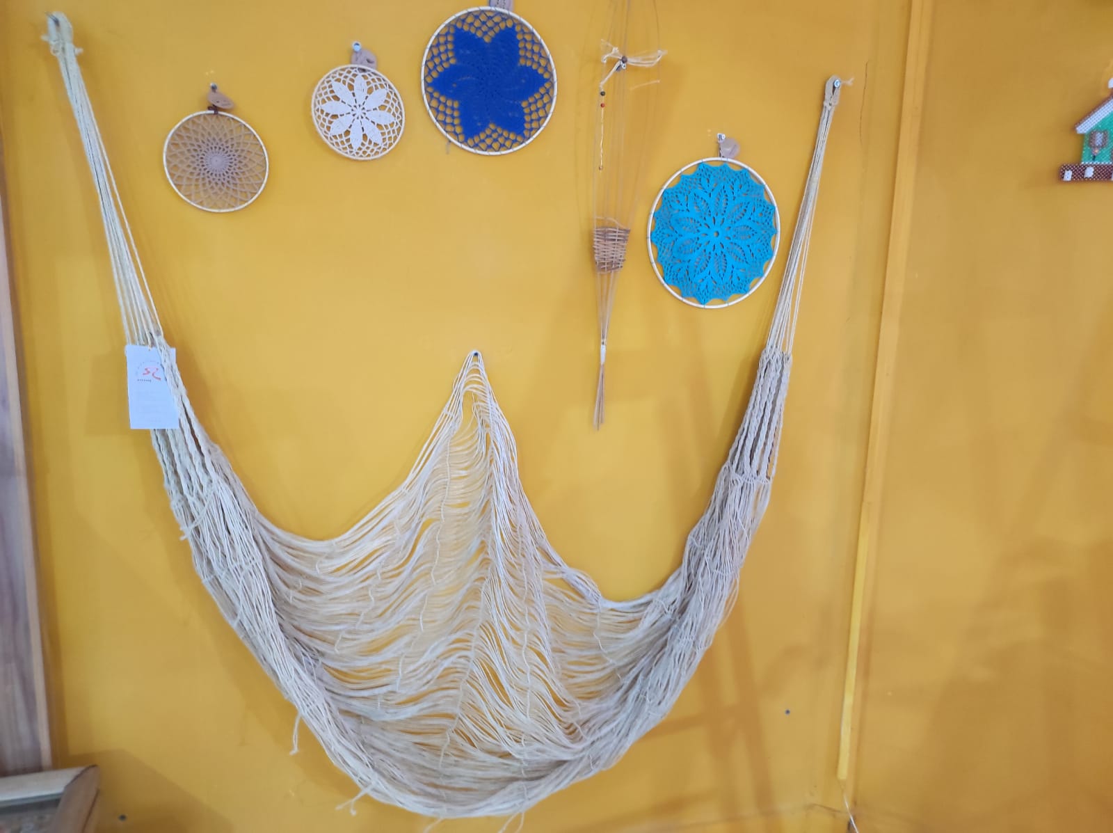 Francisca-Erlandia-5